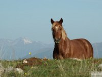 2026-05-09 Le cime di Casamaina 048